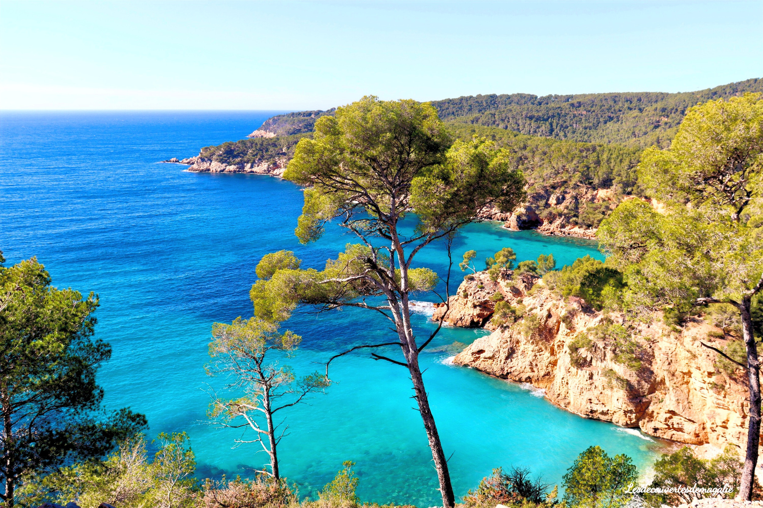 bandol.jpg
