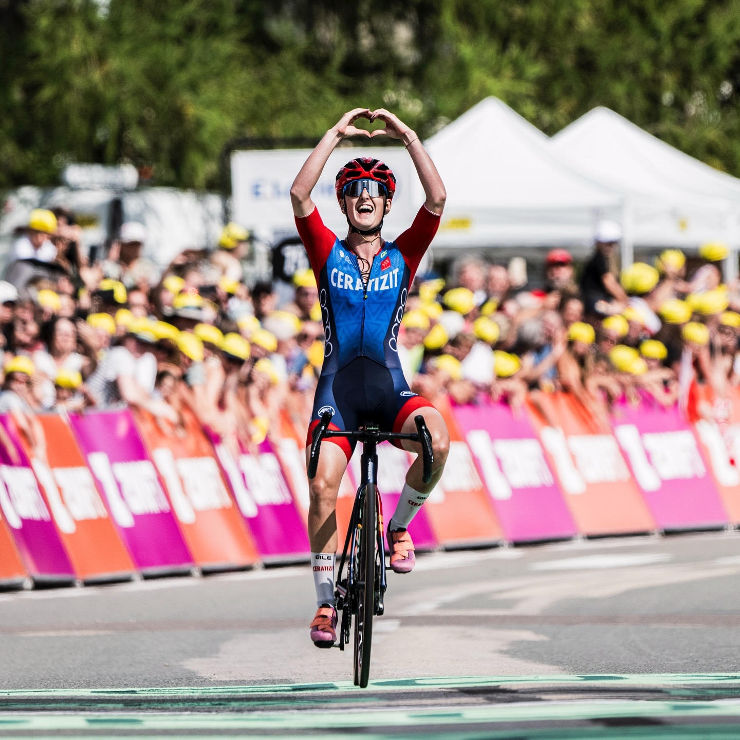 tdf.jpg