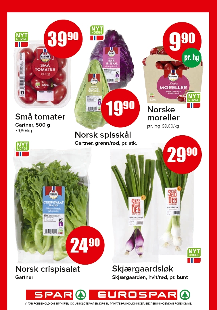 Spar 31-2.jpg