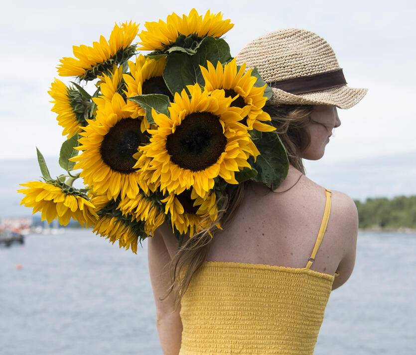 Bestill blomster<br/> rett hjem på døren