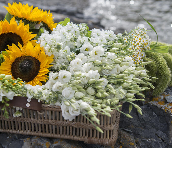 Vakre og glade sommerblomster
