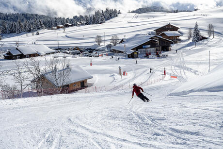 Photo : OT Praz de Lys Sommand Webcam Praz de Lys Sommand