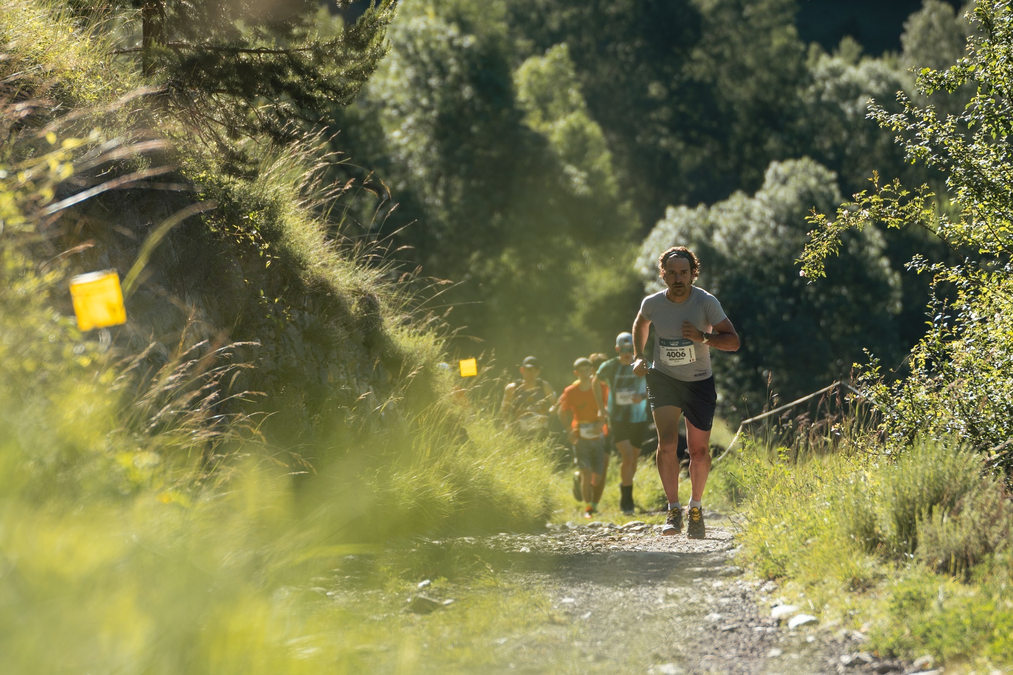 trail4.jpg