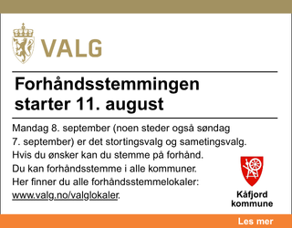 Forhåndsstemming valg