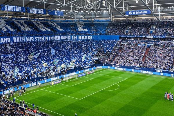 Photo : Schalke 04