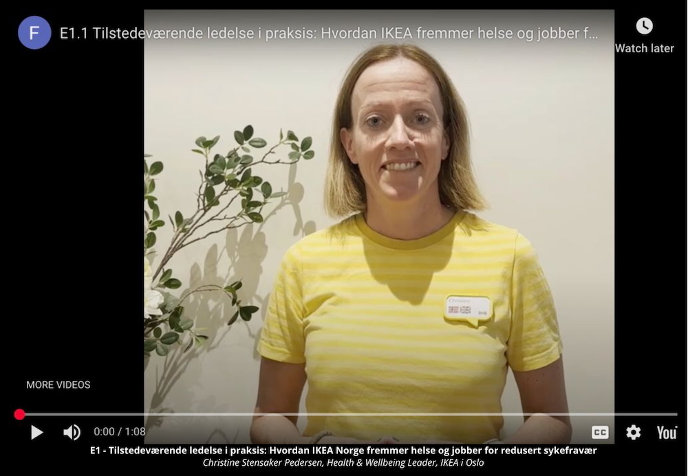 Christine S Pedersen video, lysbildevisning 1000.jpeg
