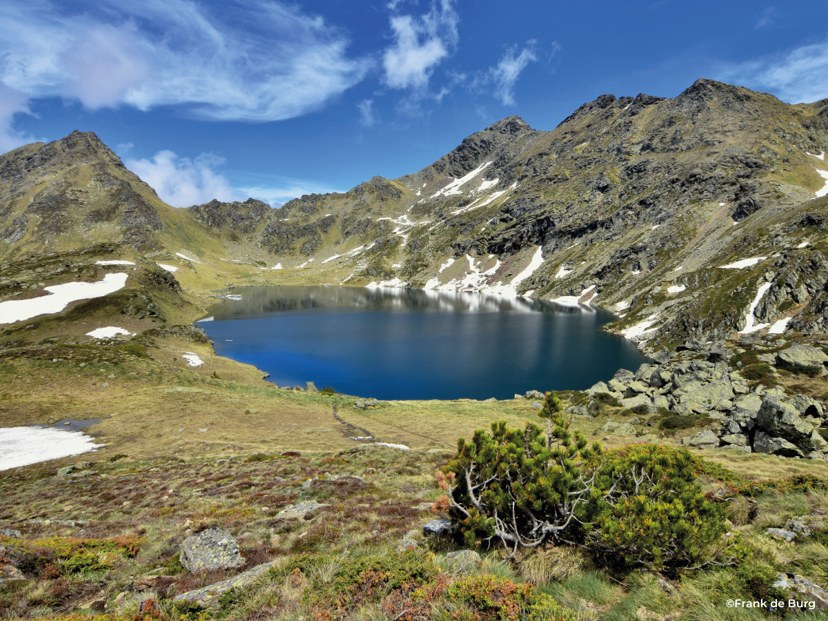 etang bleu.jpg