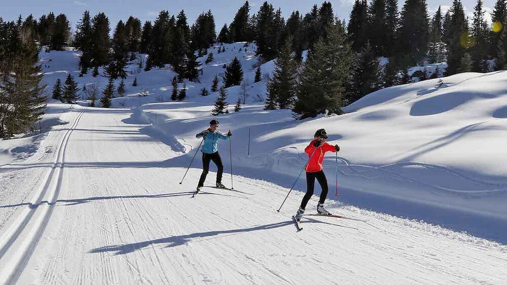 Ski de fond, skating