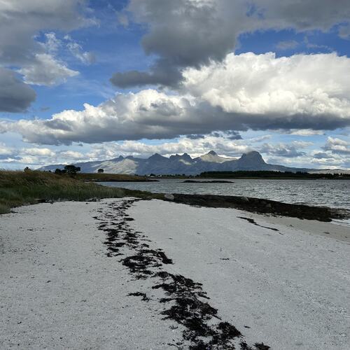 Sommergjestene har dratt. (Foto: Tone Evelyn Hansen)