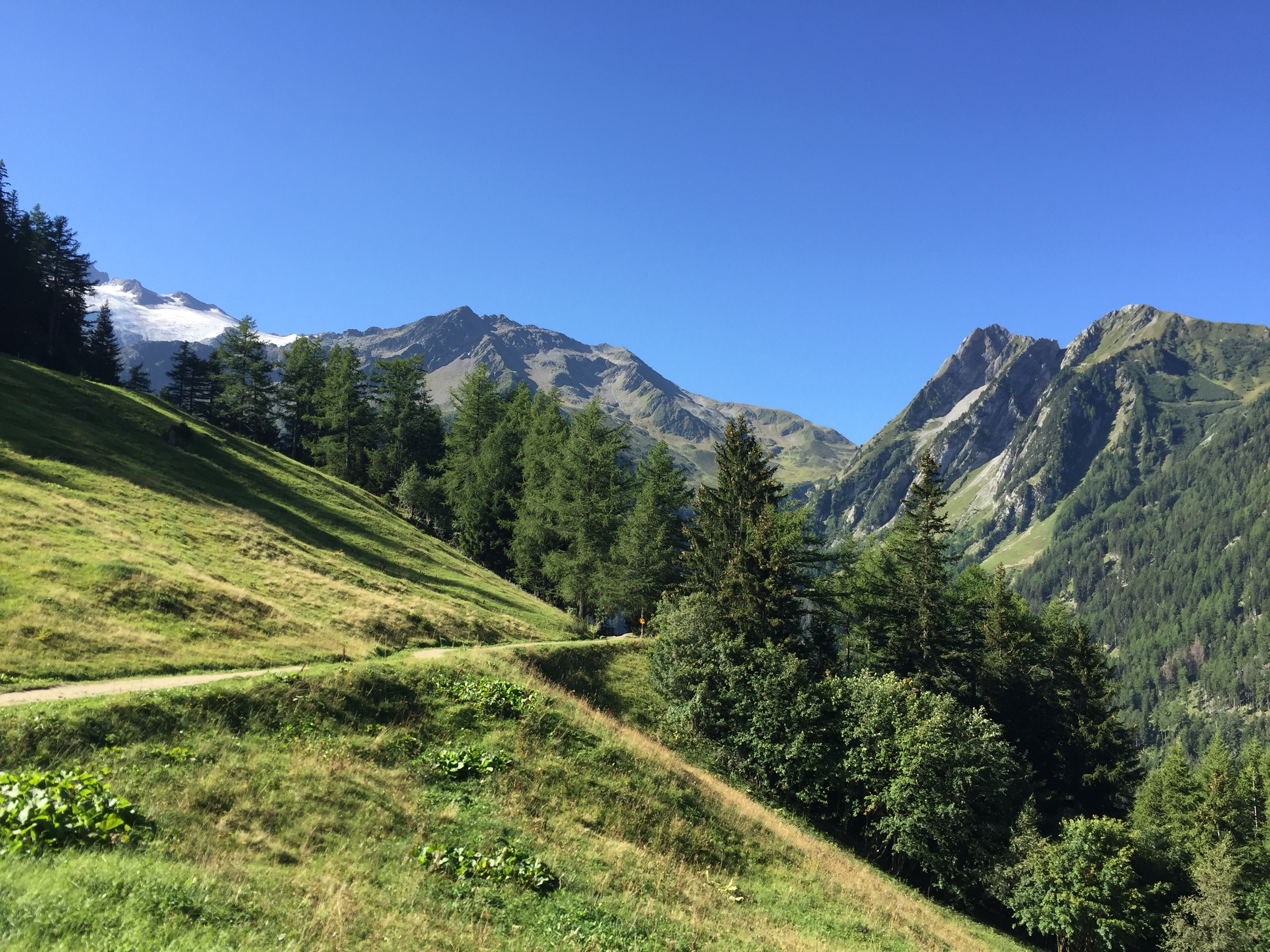 bisse trient.jpg