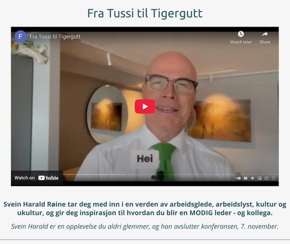 Svein H Røine video annonse.jpeg