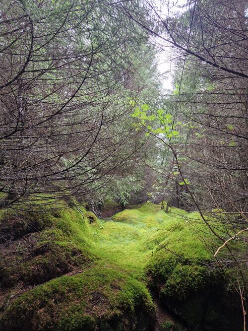 August i Trollskogen. (Foto: Gjertrud Aune Færøy)