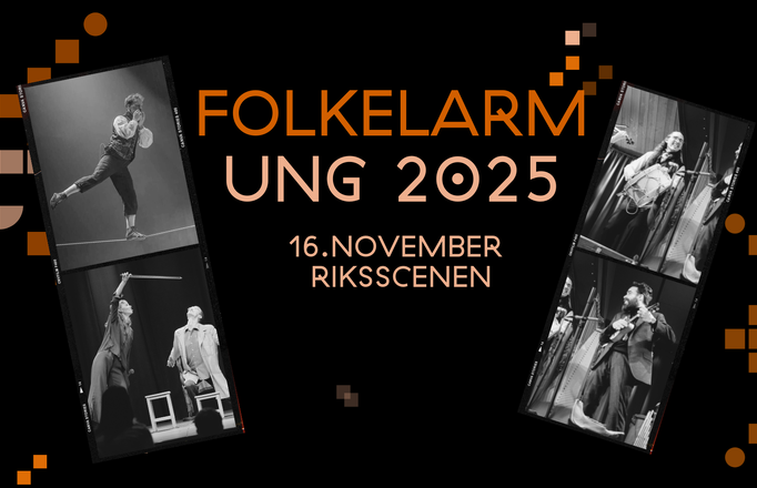 Folkelarmartist 2025 - WEB Header _ FOLKELARMUNG (2)
