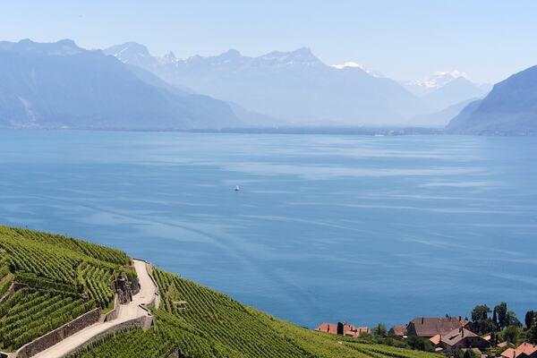 Photo : Lavaux