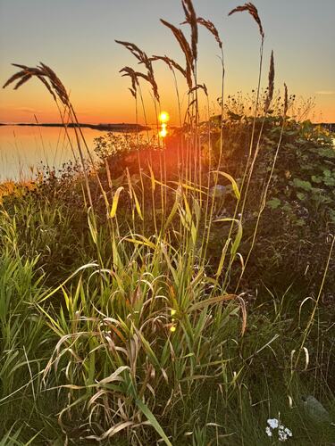 Solnedgang på Yttersio. (Foto: Svein-Cato Jakobsen)