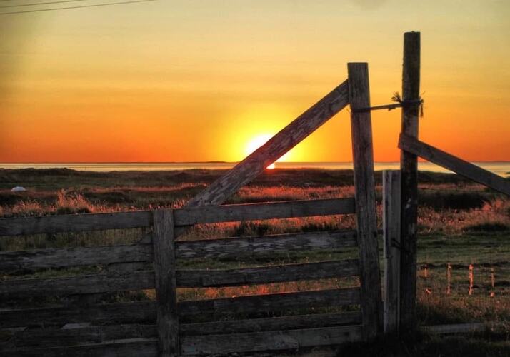 Grind i solnedgang. (Foto: Valborg Aalstad)