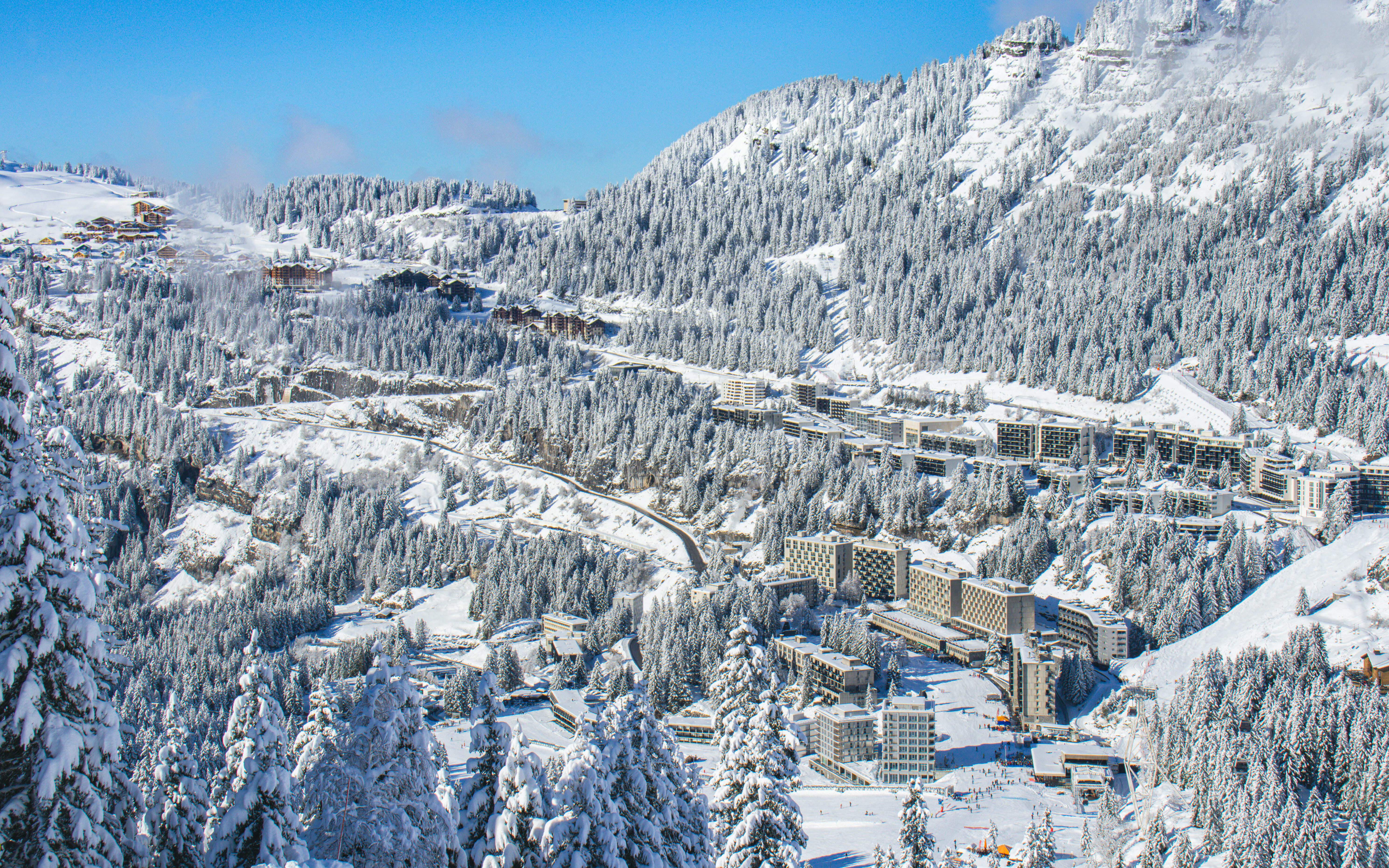 FLAINE.jpg