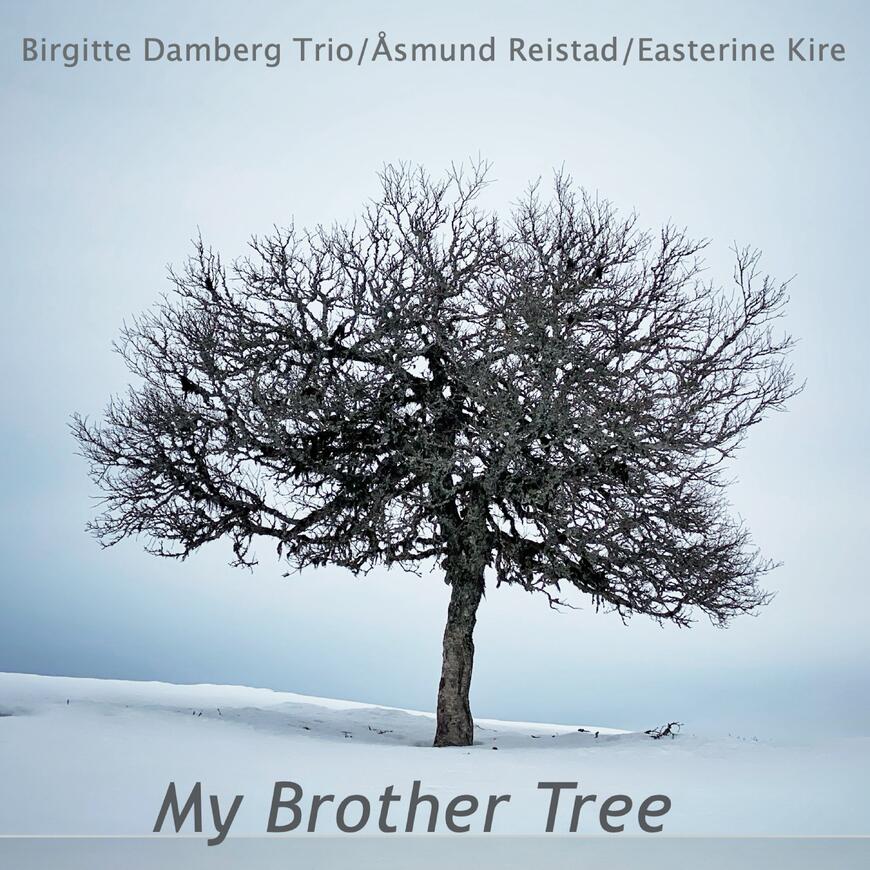 My brother tree cover