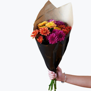 Krysantemum