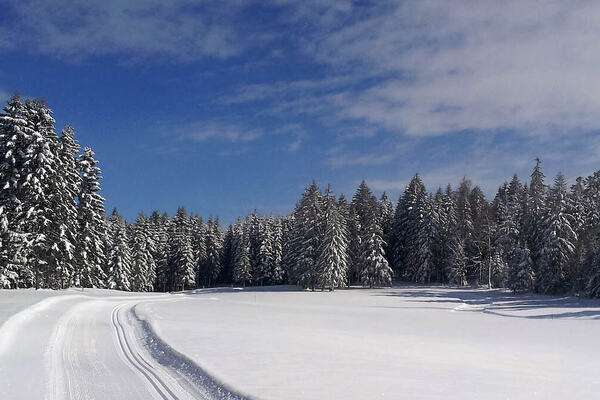 Photo : Haut Saugeais Blanc