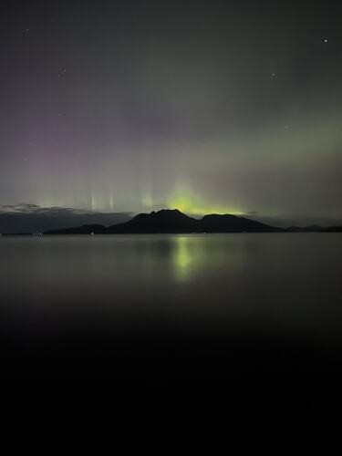 Dønnamannen. (Foto: Kaja Jensen)