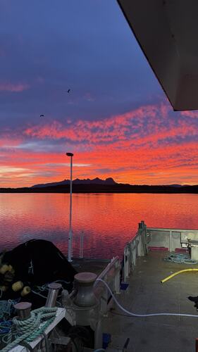Tatt på Kaia til Letsea på Husvær. (Foto: Sigrid Storfors)