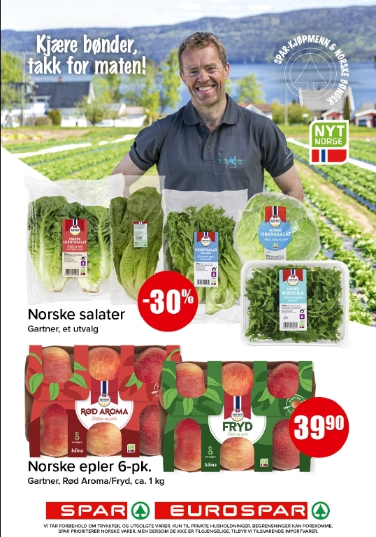 Spar 42-2.jpg