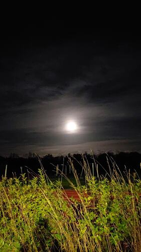 Fullmåne. (Foto: Kristin Grande)