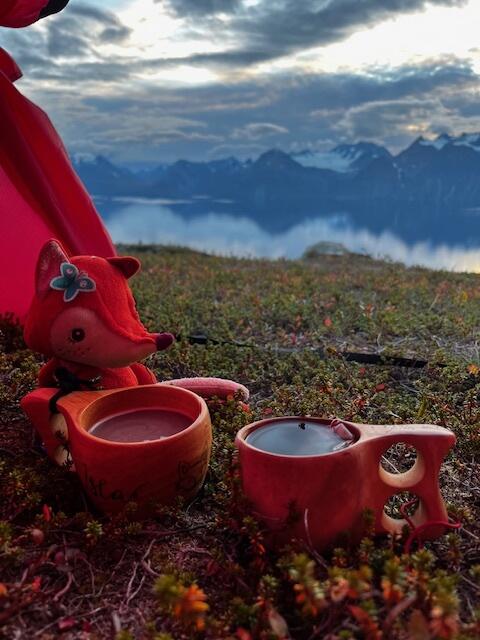 Utsikt fra teltet mot Lyngenfjord Utsikt fra teltet mot Lyngenfjord
