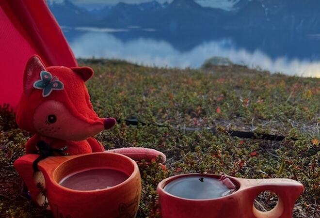 Utsikt fra teltet mot Lyngenfjord