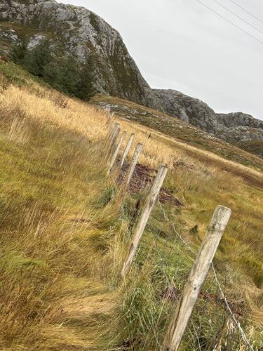 Høstfarger i marka i Øksningan. (Foto: Lisbeth Larsen)