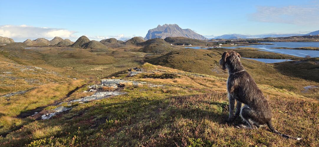 Høsttur på Gårdsøytangen. (Foto: Rose-Mari Hagen)