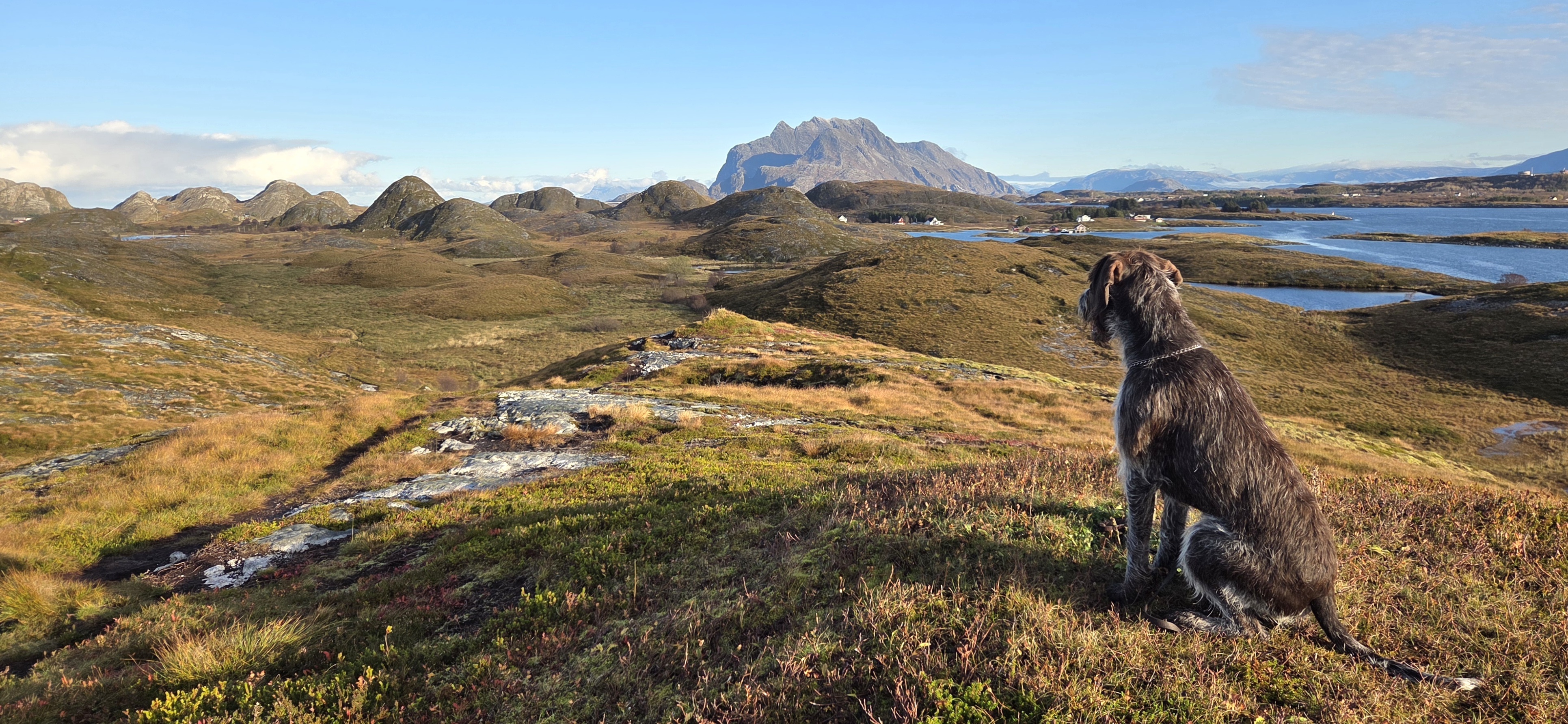 Høsttur på Gårdsøytangen. (Foto: Rose-Mari Hagen)
