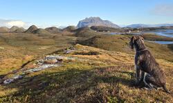 Høsttur på Gårdsøytangen. (Foto: Rose-Mari Hagen)