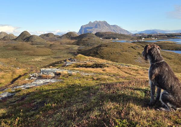Høsttur på Gårdsøytangen. (Foto: Rose-Mari Hagen) Høsttur på Gårdsøytangen. (Foto: Rose-Mari Hagen)