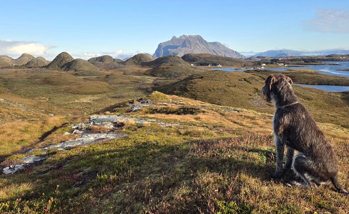 Høsttur på Gårdsøytangen. (Foto: Rose-Mari Hagen)