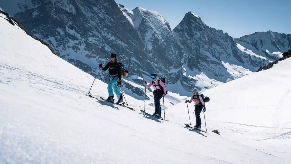 Les meilleurs skis de rando