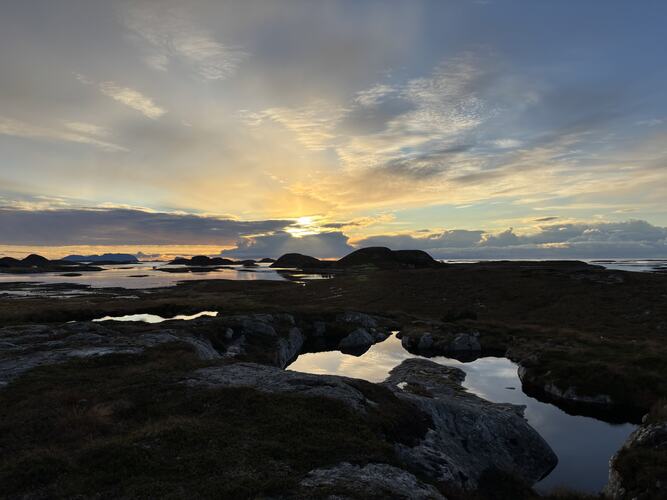 Bare fint. (Foto: Lisbeth Larsen)