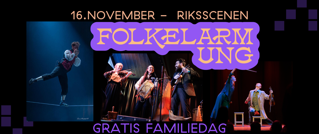 Folkelarmartist 2025 - WEB Header _ FOLKELARMUNG_JPG