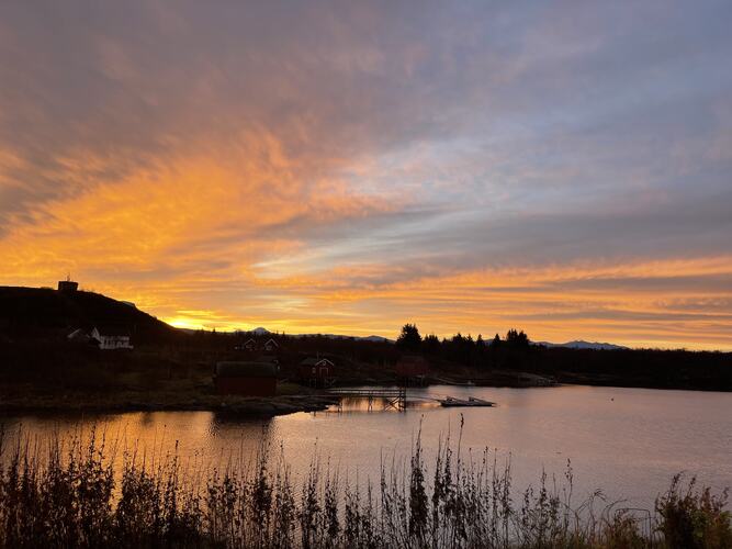 Novemberlys. (Foto: Hugo Sandoval)