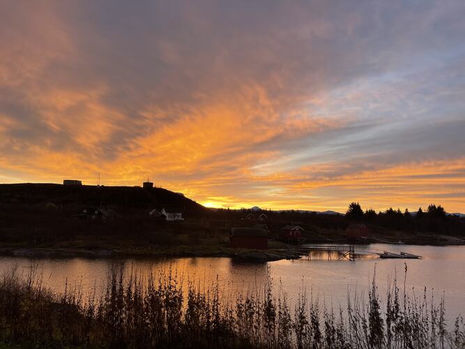 Novemberlys. (Foto: Hugo Sandoval)
