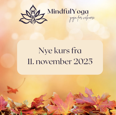 Skjermbilde 2025-11-03 kl