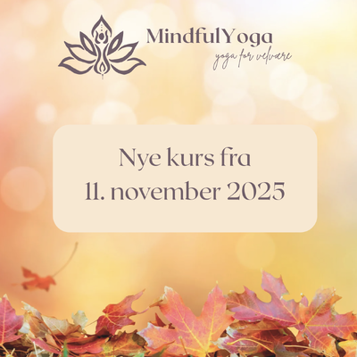 Skjermbilde 2025-11-16 kl