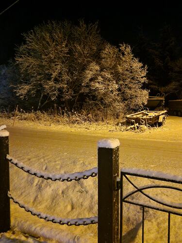 Første vakre snøfall i november. (Foto: Gjertrud Aune Færøy)