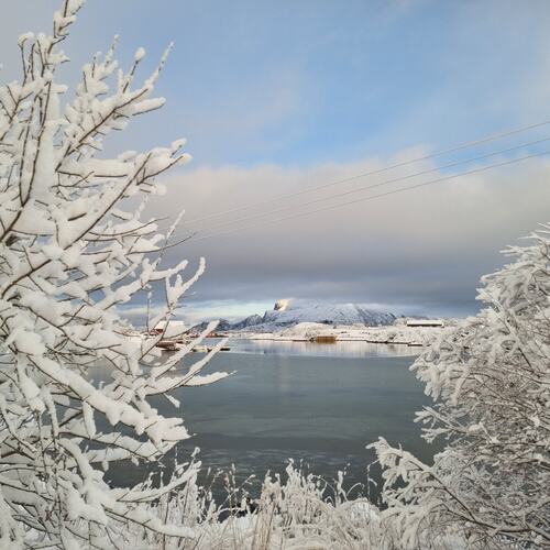 Vakre hvite november. (Foto: Gjertrud Aune Færøy)