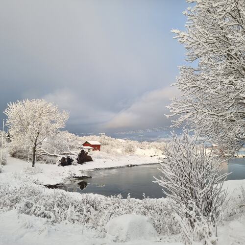 Vinteridyll. (Foto: Gjertrud Aune Færøy)