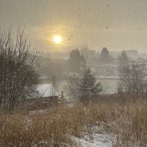Novemberlyset lister seg på tå. (Foto: Tone Evelyn Hansen)