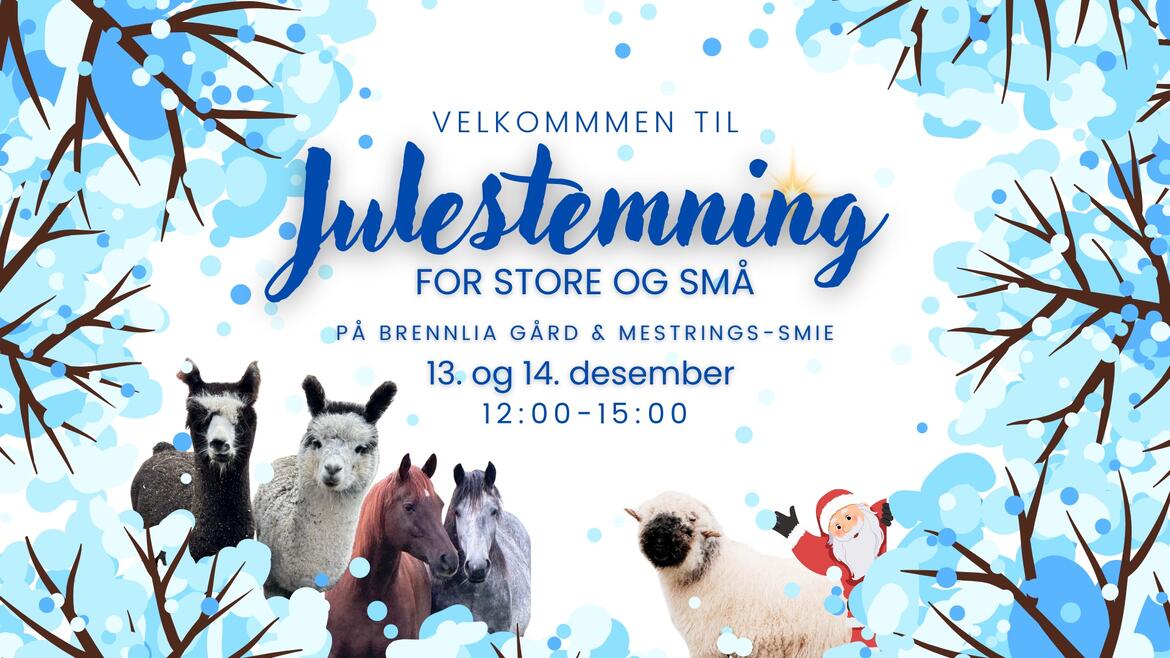 Julestemning for store og små på Brennlia Gård