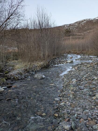Restaureringstiltak vil gi positiv effekt for fisken i Jernelva Stor stein, kulper og dypål