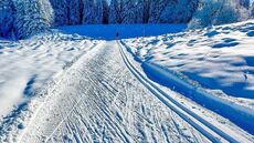 webcam Plateau de Retord Plans d